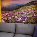 Promyk Pod Lipkami Apartzakop