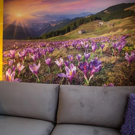 Promyk Pod Lipkami Apartzakop